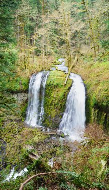 A Beautiful view Upper McCord Creek Falls