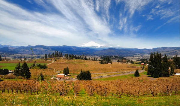 Widoki w hood river — Zdjęcie stockowe