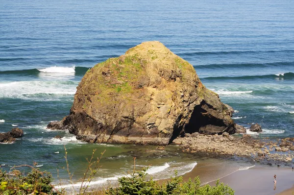 A rock from oswald west state park — Stock Photo, Image