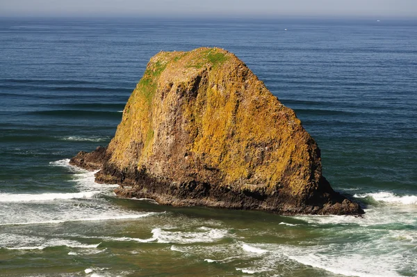 A rock from oswald west state park — Stock Photo, Image