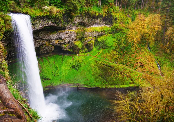 The Beautiful View Of Silver Falls — Stock Photo, Image