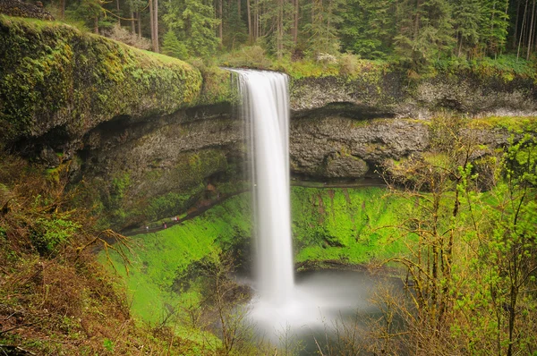 A bela vista de Silver Falls — Fotografia de Stock