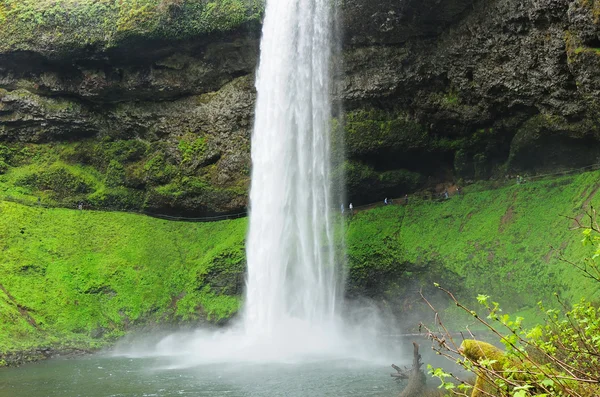 La belle vue des chutes d'argent — Photo