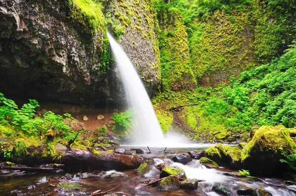 Beautiful elwha falls — Stock Photo, Image