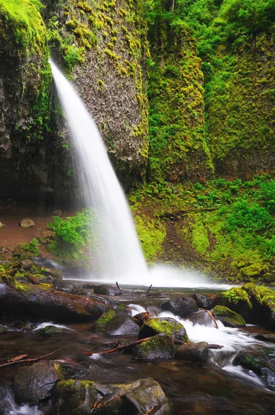 Upper ponytail falls — Stock Photo, Image