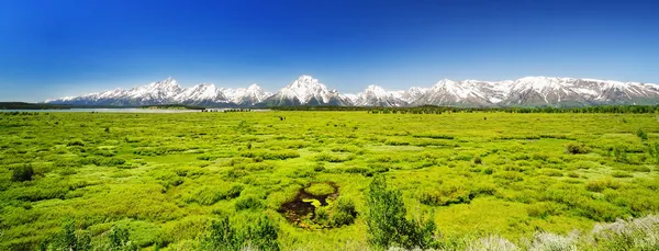The panoramic view from Jackson Lake resort — Stock Photo, Image