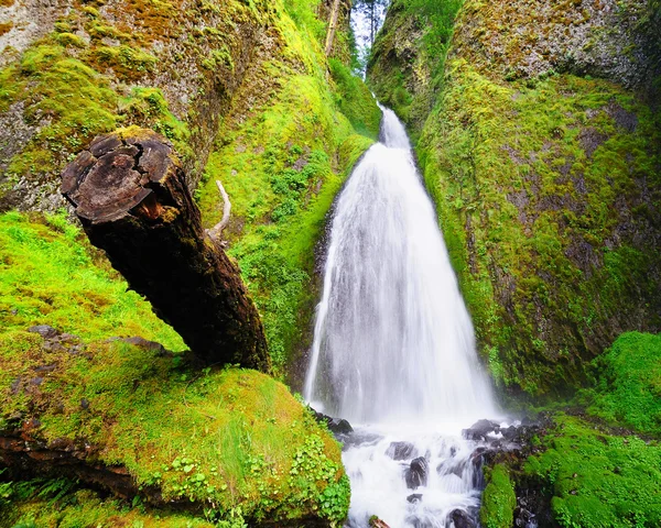 Pohled na vodopády wahkeena — Stock fotografie
