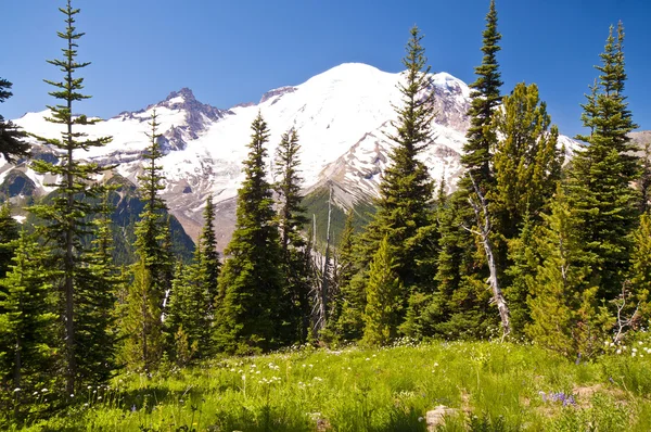 Die schöne Aussicht auf den Mount Rainier — Stockfoto