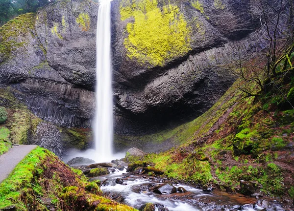 Schöner Elwha-Wasserfall — Stockfoto