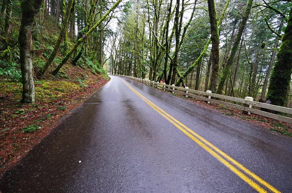 Columbia River autópályán látképe — Stock Fotó