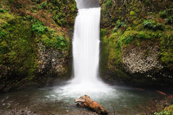 A view of Multnomah Falls with the bridge — Stock Photo, Image