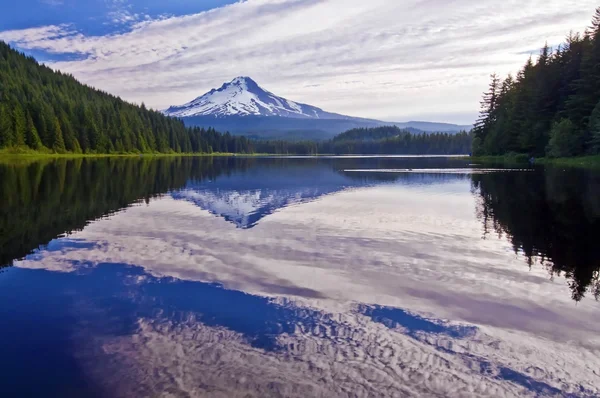 Το όμορφο άνθος λίμνη και mt hood Όρεγκον — Φωτογραφία Αρχείου