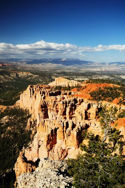 A beautiful view of bryce — Stock Photo, Image