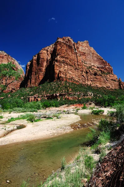 Jacob pico desde el suelo del valle, Parque Nacional Zion —  Fotos de Stock