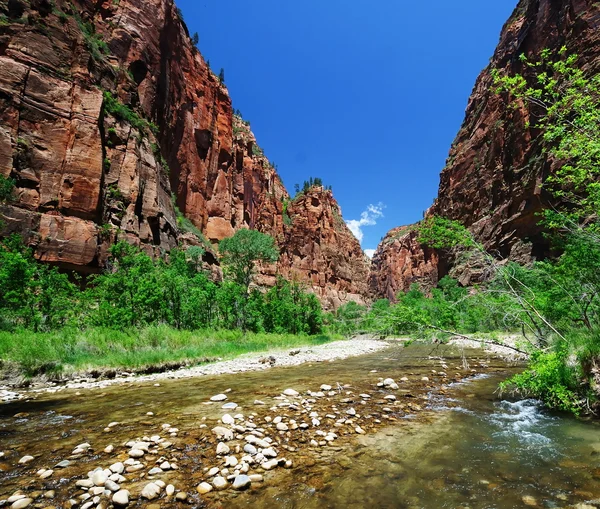 Zion canyon kavşağında görünümü — Stok fotoğraf