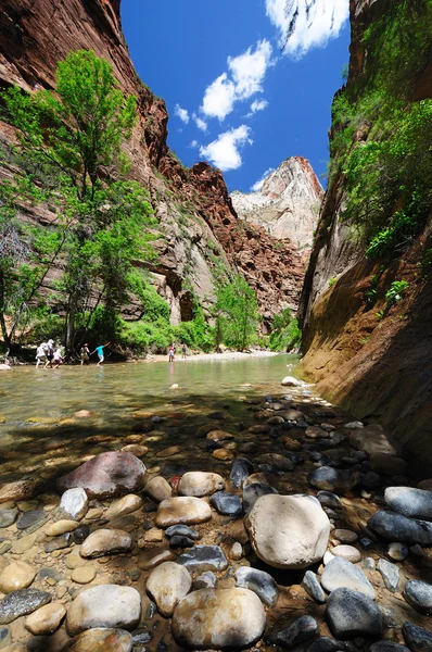 Hermoso Parque Nacional Zion —  Fotos de Stock