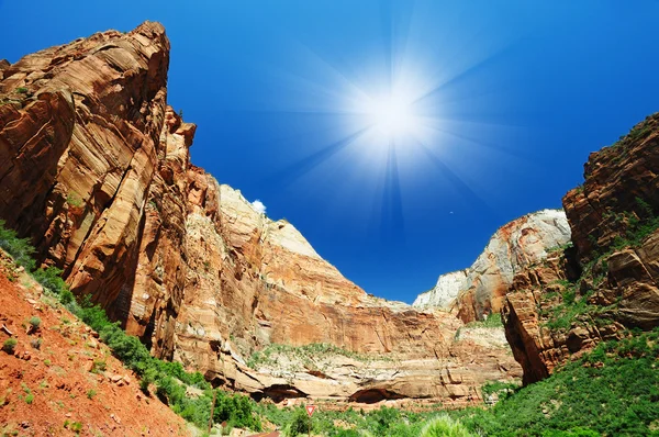 Zion national park panorama — Stok fotoğraf