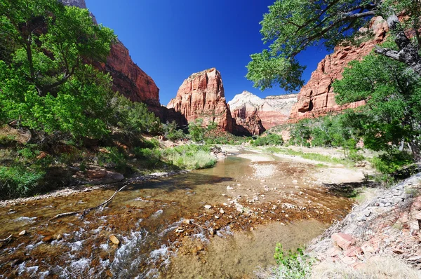 Una vista del Parque Nacional de Zion —  Fotos de Stock