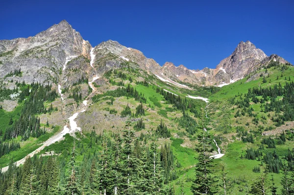 En vy från north cascades hwy — Stockfoto