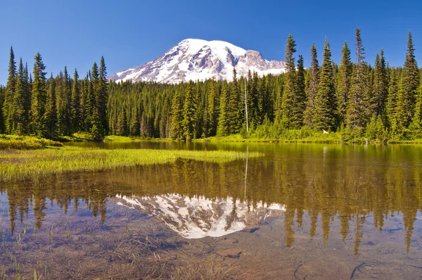 De mt-rainer in reflectie meer weerspiegeld — Stockfoto