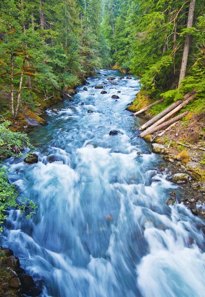 Krásné tekoucí řeka v národním parku mount rainer — Stock fotografie