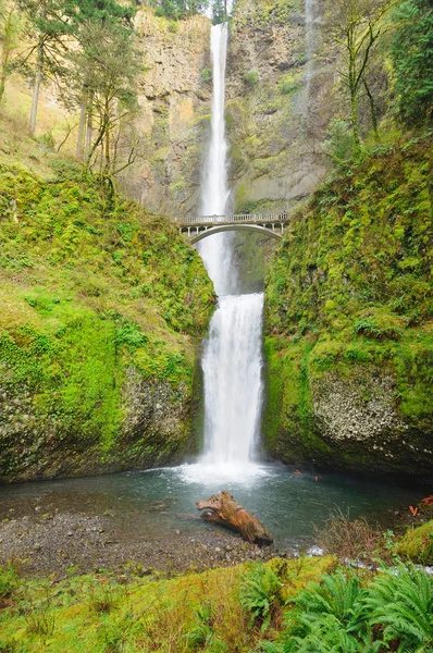 美しい multinomah の滝 — Stock fotografie