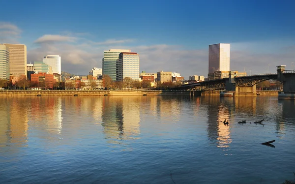 Portland Skyline — Stockfoto