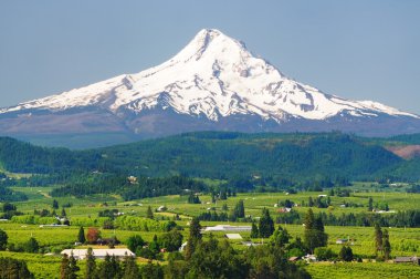 Mount hood ve hood river Vadisi