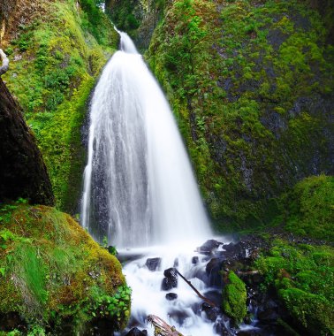 columbia river gorge, oregon wahkeena düşer