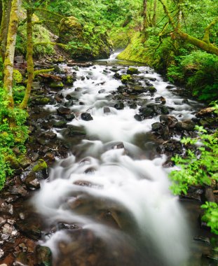 Gelin veil falls oregon, su akışını
