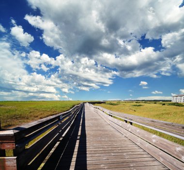 long beach WA görünüm