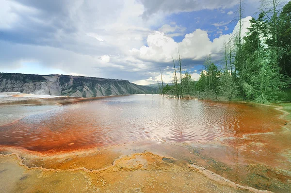 Бактериальный бассейн из горячих источников Мамонта — стоковое фото