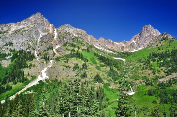 A view from North Cascades Hwy — Stock Photo, Image