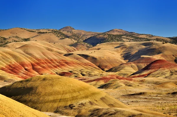 Beautiful The Painted Hills — Stock Photo, Image