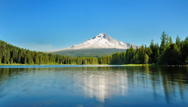 Trillium Lake — Stock Photo, Image