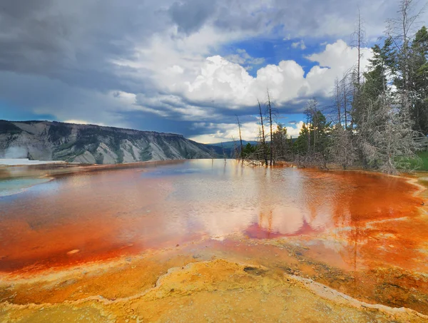 Een bacteriële pool van gigantische hot springs — Stockfoto