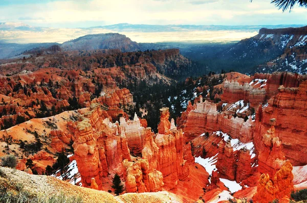 En vacker utsikt över bryce canyon vid solnedgången punkt, utah, usa — Stockfoto