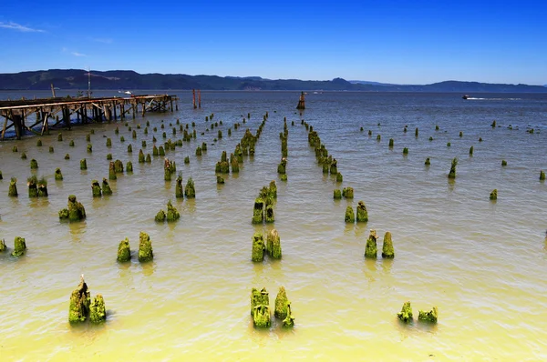 A view from Astoria, Oregon — Stock Photo, Image