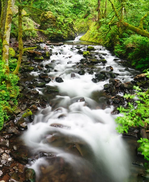 El flujo de agua en Bridal Veil Falls Oregon — Foto de Stock