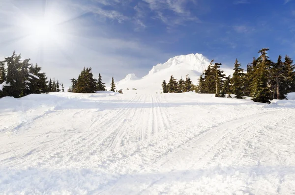 Le point paradisiaque du Mont Rainer en hiver — Photo