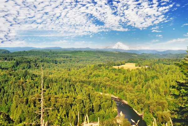 A Sandy River Valley Oregon — Stock Fotó