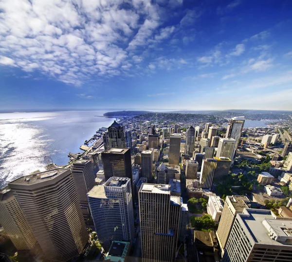 Una splendida vista del centro di Seattle dalla torre della Columbia — Foto Stock