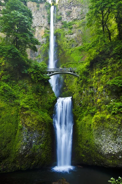 美丽 multinomah 瀑布 — 图库照片