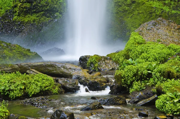 As lindas Cataratas Latourell — Fotografia de Stock