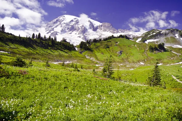 The Beautiful View from Paradise — Stock Photo, Image