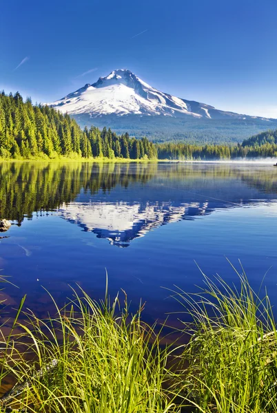 美丽的景色的 trillium 湖 — 图库照片