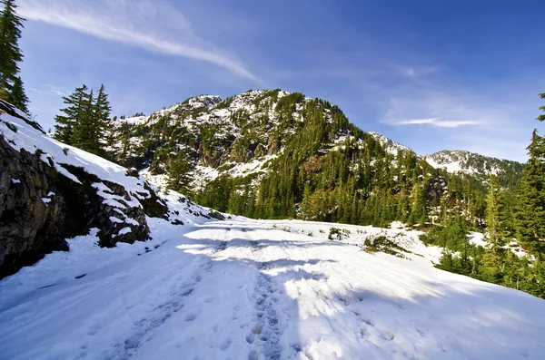 Mt shuksan yakınlarında güzel bir manzara — Stok fotoğraf