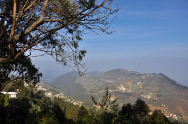 Kodaikanal, Tamil Nadu, Hindistan 'da bir dağ manzarası.