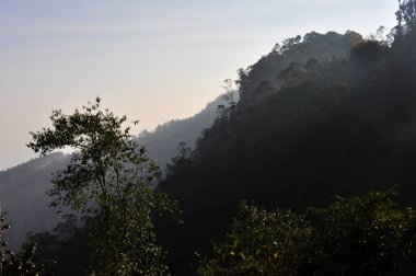 Kodaikanal, Tamil Nadu, Hindistan 'da gün batımının altındaki ağaçlık dağların manzarası.