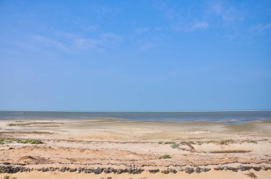 Arichal Munai, Dhanushkodi, Tamil Nadu, Hindistan 'daki kumlu sahile ve okyanusa bakan basit bir manzara.